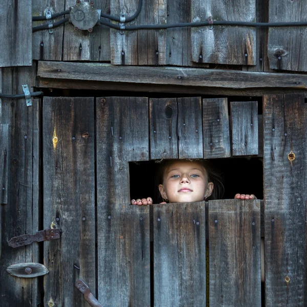 Little girl hiding Stock Image