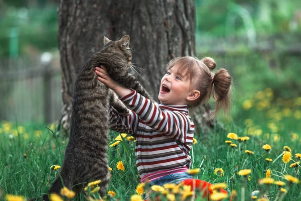 Cinq Ans Fille Jouer Avec Chat Dans Parc — Photo