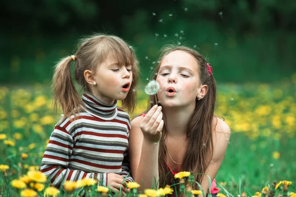 公園の緑の芝生の上でタンポポの種を吹いている2人の姉妹 — ストック写真