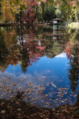 Sonbaharda sarı ve kırmızı yapraklı eski parkta bir gölet..