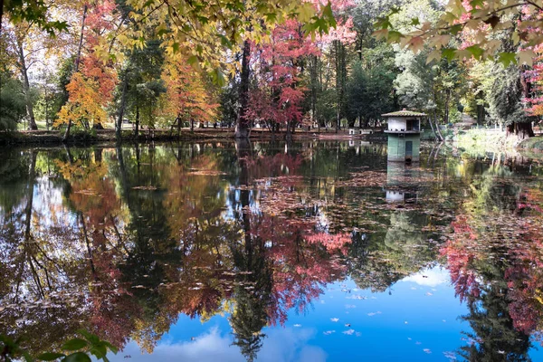 Cozy Pond Old Park Yellow Red Foliage Autumn — Stock Photo, Image