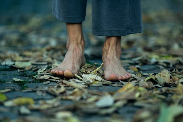 Ноги Крупным Планом Стоят Босиком Осенней Листве — стоковое фото