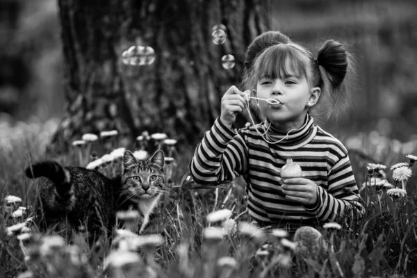 Küçük Kız Çimlerin Üzerinde Bir Kediyle Oynuyor Siyah Beyaz Fotoğraf — Stok fotoğraf