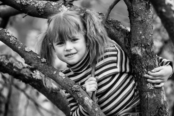 Petite Fille Assise Sur Arbre Dans Jardin Photographie Noir Blanc — Photo