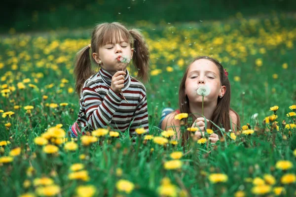 Kleine Zusjes Blazen Paardenbloem Zaden Weg Groene Weide — Stockfoto