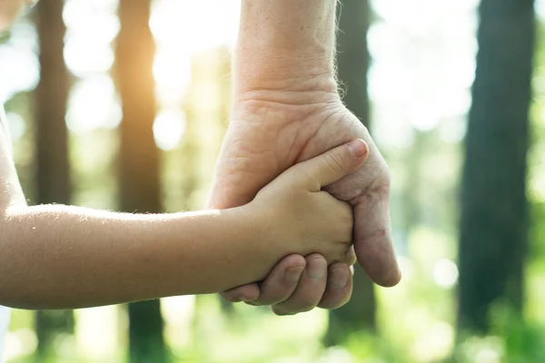 Close Hands Father Son Outdoors Park — Stock Photo, Image