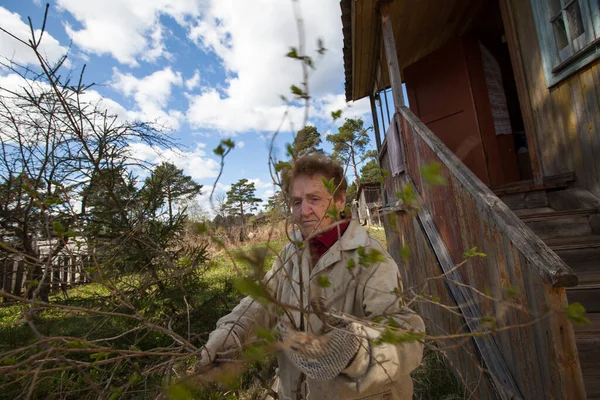 Une Vieille Femme Près Maison Sur Ferme Dans Village — Photo