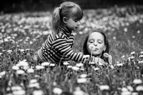 Pequeña Linda Chica Jugando Con Hermana Parque Foto Blanco Negro —  Fotos de Stock