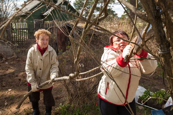 Vieille Femme Fille Enlèvent Des Branches Près Maison — Photo