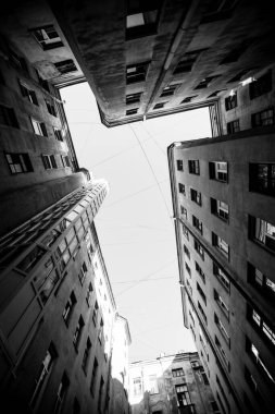 St. Petersburg 'un eski bölgesinde tipik bir bahçe kuyusu. Siyah beyaz fotoğraf..