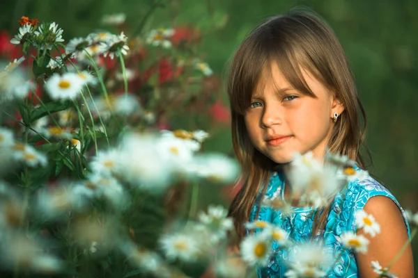 Portret Van Een Klein Meisje Een Veld Tussen Bloemen — Stockfoto