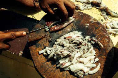 Balıkçı, Tayland Körfezi 'nde balık yemi olarak balık avlıyor.. 