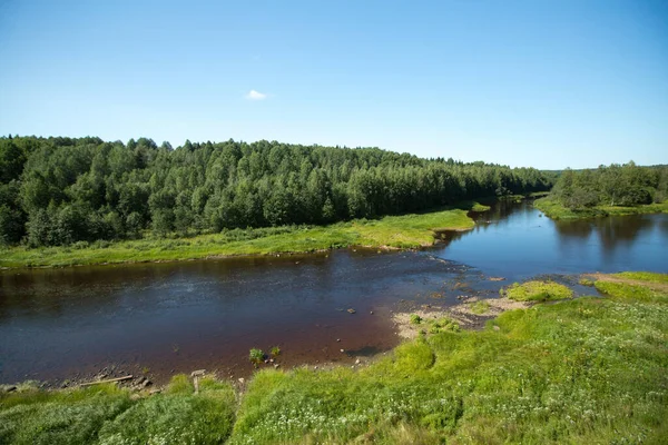 Vue Forêt Conifères Rivière Été Dans Nord Russie — Photo