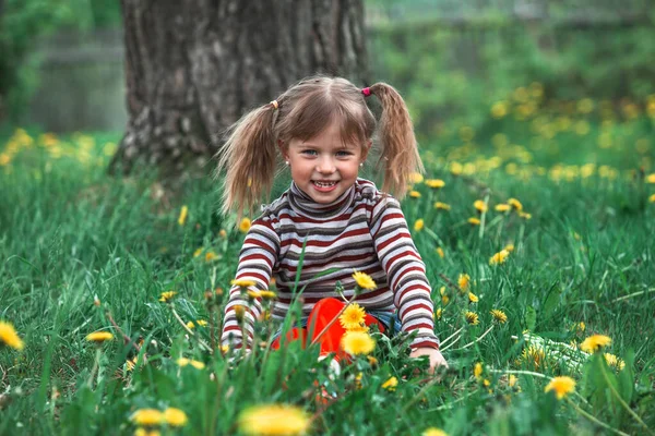 Little Girl Green Grass Park — Stock Photo, Image