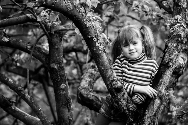 Holčička Sedící Stromě Zahradě Černobílá Fotografie — Stock fotografie