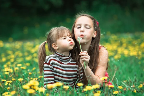 两个小妹妹把蒲公英的种子吹散在公园的绿草上 — 图库照片