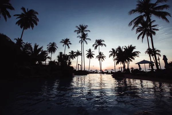 Tropikalna Plaża Drzewami Palmowymi Sylwetki Podczas Niesamowitego Zachodu Słońca — Zdjęcie stockowe