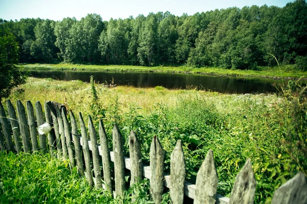 Veduta Del Fiume Estate Nella Russia Settentrionale — Foto Stock