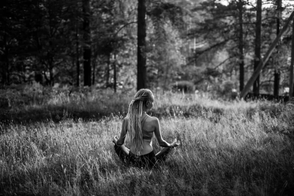 Yoga Frau Lotos Posiert Wald Schwarz Weiß Foto Stockbild