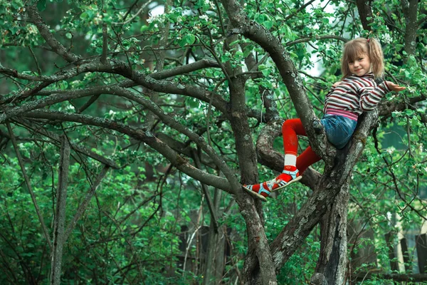 Divertente Bambina Posa Albero Nel Giardino Verde — Foto Stock