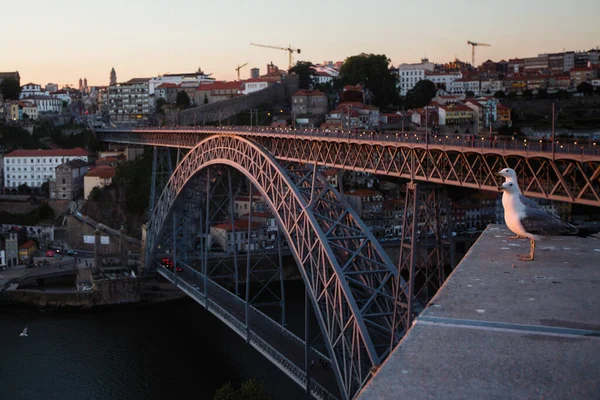 Vue Dessus Fleuve Douro Pont Dom Luis Crépuscule Porto Portugal — Photo