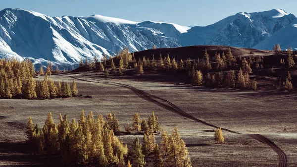 Άποψη Του Βουνού Δάσος Και Χιόνι Στο Αλτάι Δυτική Σιβηρία — Φωτογραφία Αρχείου