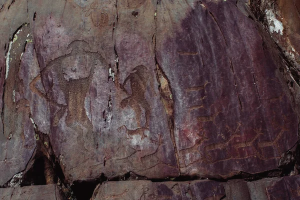 Oude Rotsschilderingen Petroglyphs Het Altai Gebergte — Stockfoto