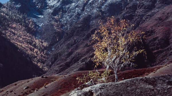 Picturesque mountains in landscapes of Altai Republic, Russia.