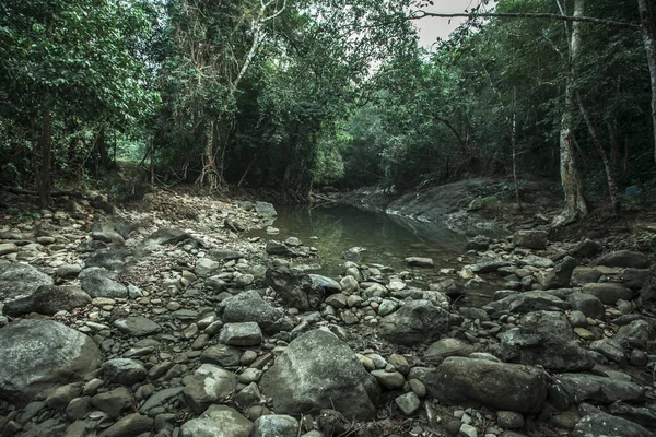 Vue Sur Rivière Dans Jungle Tropicale Thaïlandaise — Photo