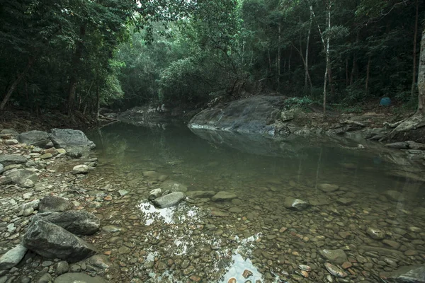 熱帯ジャングルの中の川の眺め — ストック写真