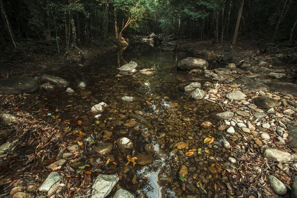 Veduta Del Fiume Tropicale Nella Giungla Tailandese — Foto Stock