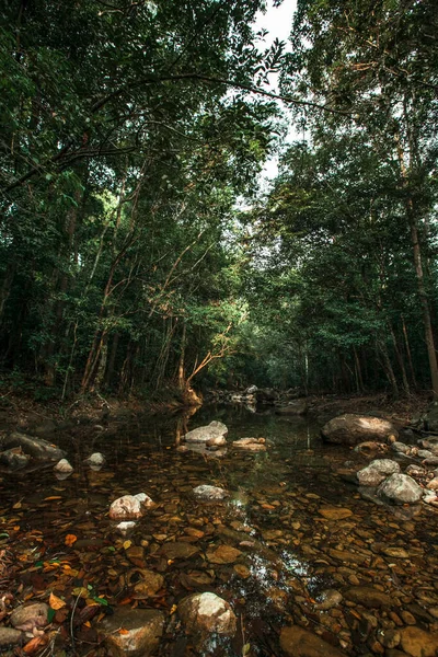 Veduta Del Fiume Tropicale Nella Giungla Della Thailandia — Foto Stock