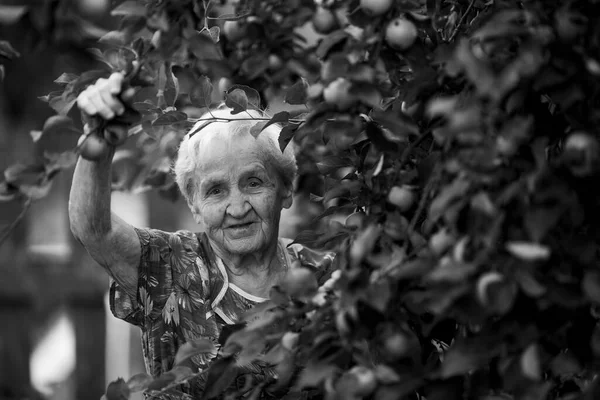 花园里一个老妇人的画像 黑白照片 — 图库照片