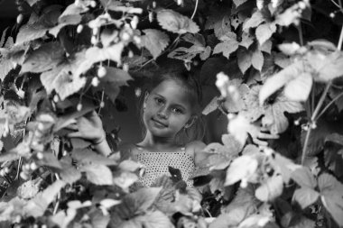 Küçük bir kız bahçedeki çalıların arkasından dışarı bakar. Siyah beyaz portre.