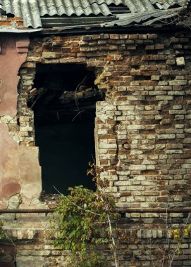 Terk edilmiş. Eski harabe bir evde bir duvar.