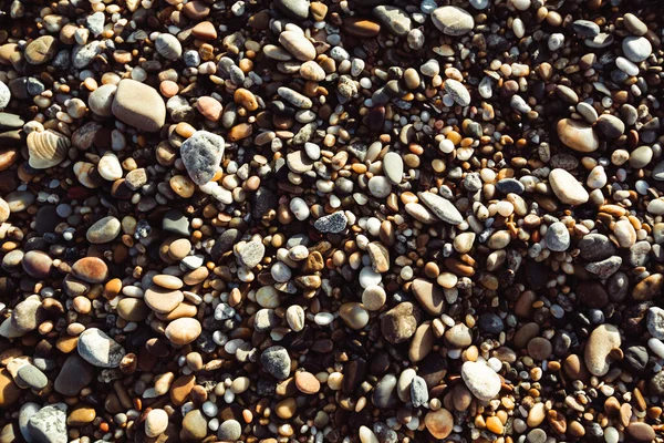 Texture Sea Beach Sand Pebbles Close — Stock Photo, Image