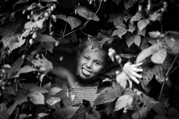 一个小女孩愚蠢地从花园里的灌木丛后面往外看 黑白照片 — 图库照片