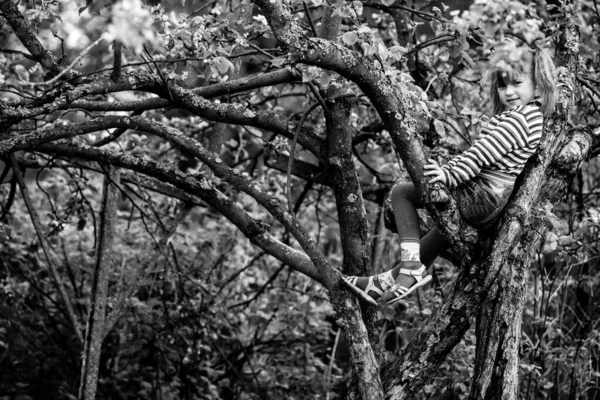 Una Bambina Cinque Anni Siede Tra Rami Albero Nel Giardino — Foto Stock