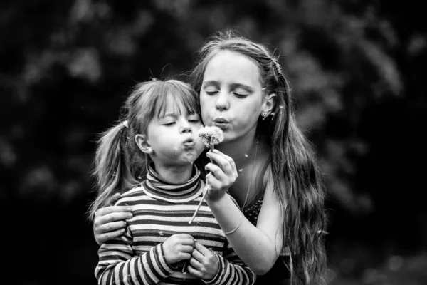 Twee Meisjes Die Paardenbloemen Blazen Park Zwart Wit Foto — Stockfoto