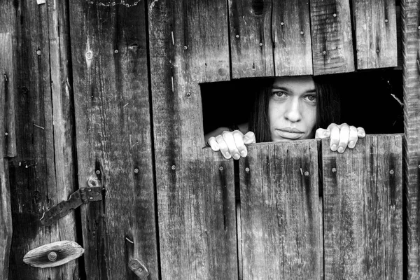 An woman looking through the crack of a locked wooden shed. Black and white photo.