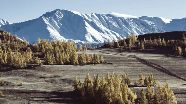 Πανόραμα Των Χιονισμένων Κορυφογραμμών Των Αλτάι Στο Αλτάι — Φωτογραφία Αρχείου