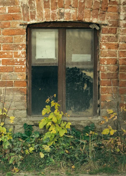 Window Old Brick House — Stock Photo, Image