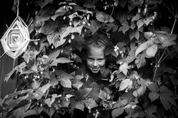 Dziewczynka Wydziera Się Zarośli Ogrodzie Czarno Białe Zdjęcie — Zdjęcie stockowe
