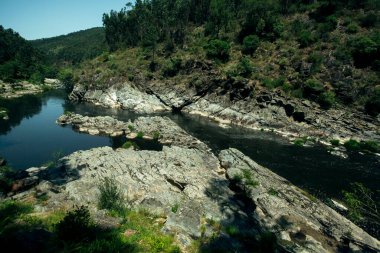 Portekiz 'in Aveiro bölgesindeki Paiva Nehri manzarası.