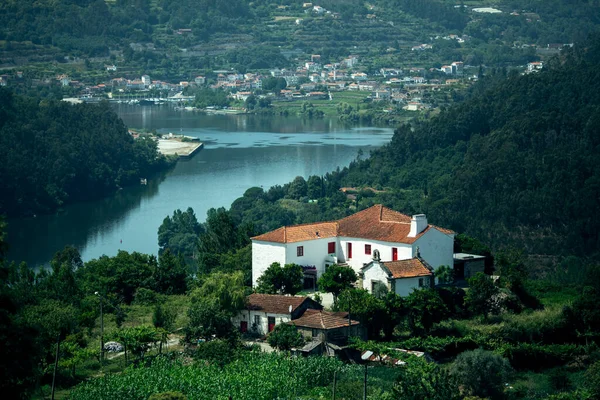 Utsikt Över Floden Douro Distriktet Aveiro Portugal — Stockfoto