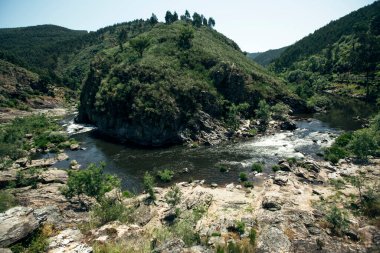 Portekiz 'in dağlık bir bölgesinde orman nehri..