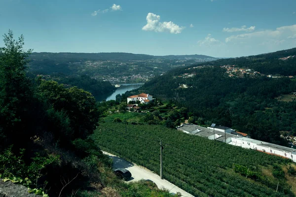 Top View Valley Douro River Aveiro District Portugal —  Fotos de Stock