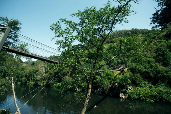 森林中一条小河上的悬索桥 — 图库照片