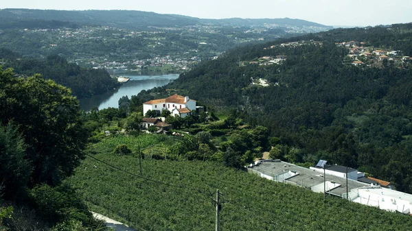 Punkt Widokowy Widokiem Rzekę Douro Dzielnicy Aveiro Portugalia — Zdjęcie stockowe