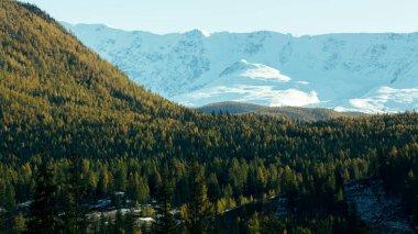 Rusya 'da sonbaharda Altay Dağları' nın manzaraları.